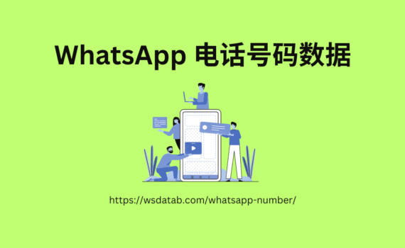 WhatsApp 电话号码数据