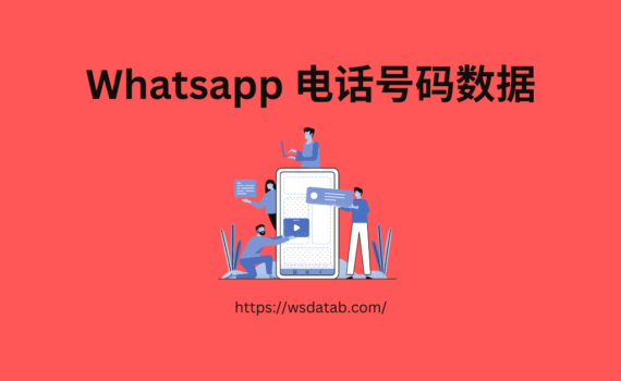 Whatsapp 电话号码数据